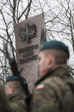 Widok napisu na pomniku Żołnierzo Armii Krajowej.