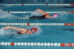 W basenie sportowym - widok dwójki płynących dziewczyn kraulem
