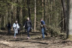 Trzy osoby w lesie jedna trzyma pęk gałęzi.