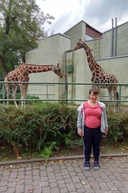 Kobieta stojąca przed wybiegiem z żyrafami.