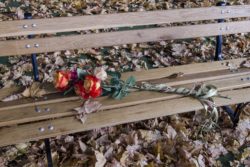 Bukiet kwiatów leżący na ławce.