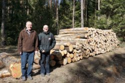 Dwaj mężczyźni stojący obok ściętych kłód drewna.