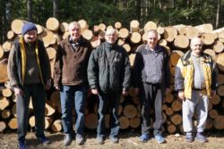 Pięciu mężczyzn stojących na tle ściętych kłód drewna.