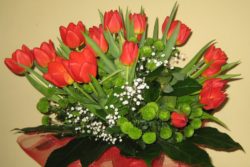 Bukiet czerwonych tulipanów.