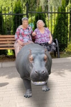 Dwie kobiety siedzące na ławce przed którymi stoi hipopotam.